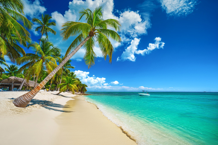 Wei&szlig;er Strand unter Palmen an der Dominikanischen Republik